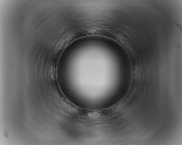 X0000099450470200805161026