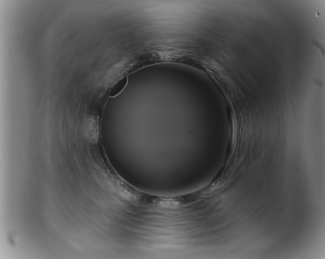 X0000099450471200805161026