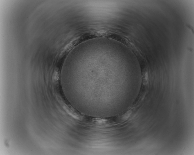 X0000099450472200805161026