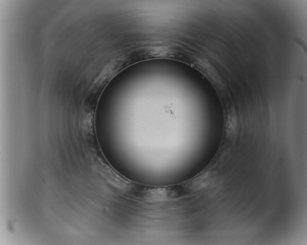 X0000099450473200805161026