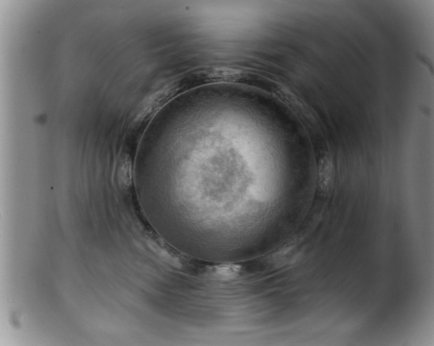 X0000099450474200805161026