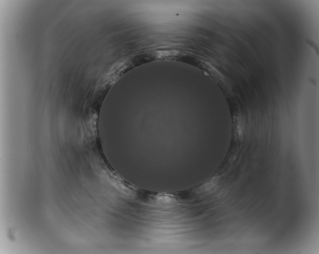 X0000099450475200805161027