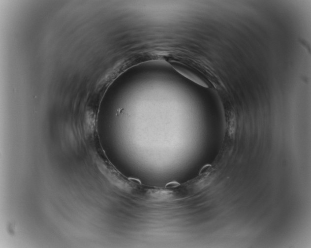 X0000099450476200805161027