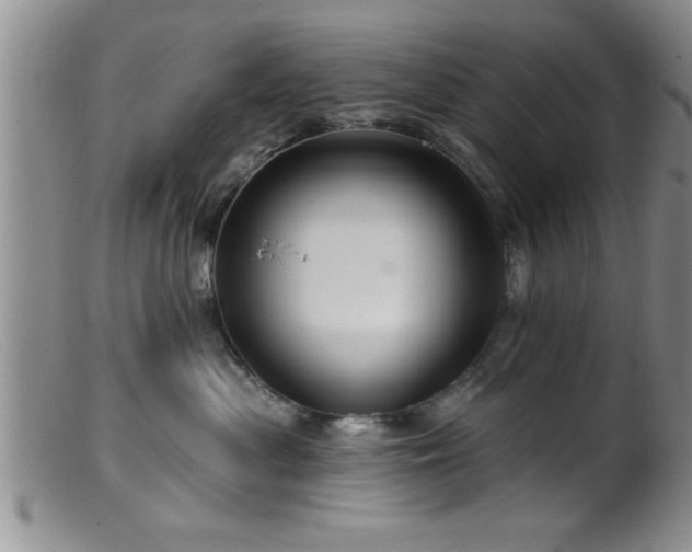 X0000099450477200805161027