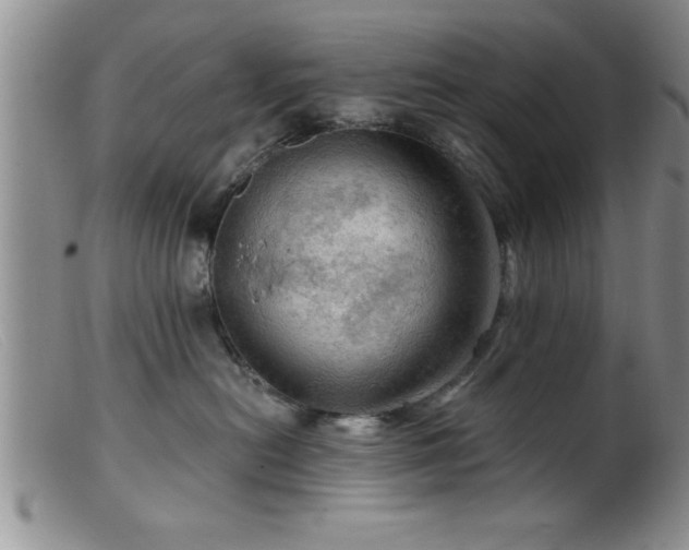 X0000099450478200805161027