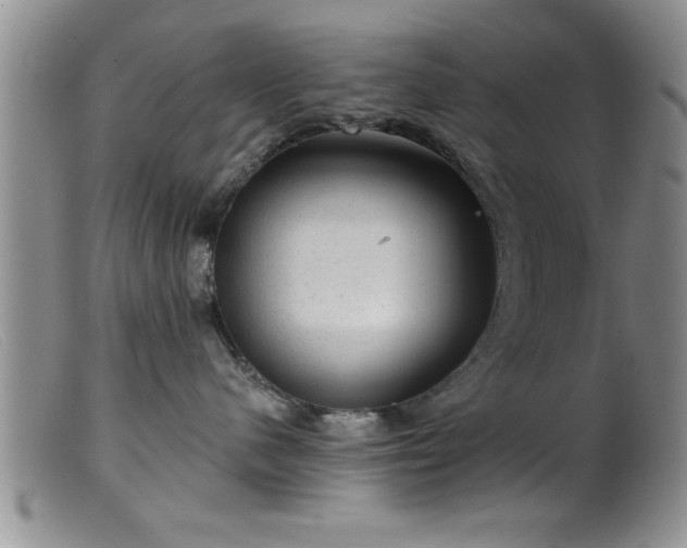 X0000099450480200805161027