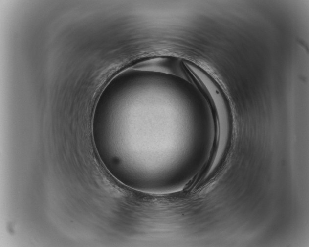 X0000099450481200805161026