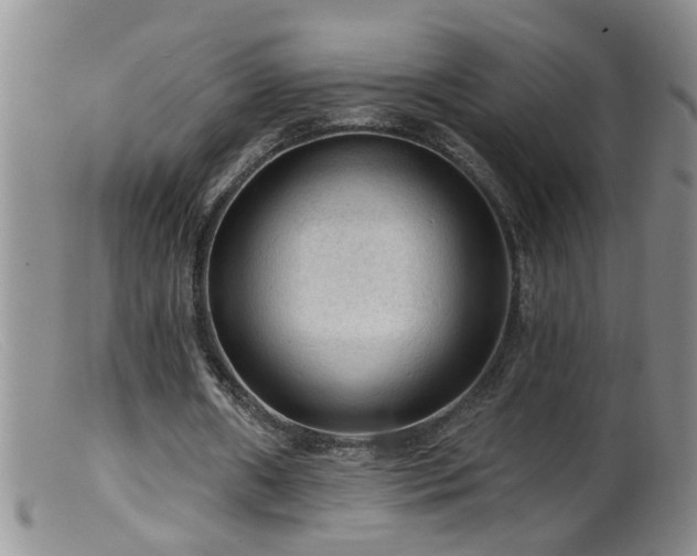 X0000099450482200805161026