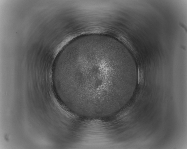 X0000099450483200805161026