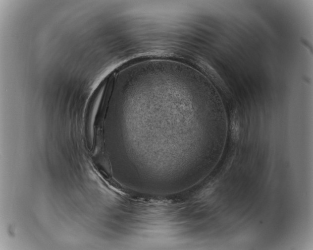 X0000099450484200805161026