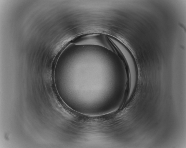 X0000099450485200805161026