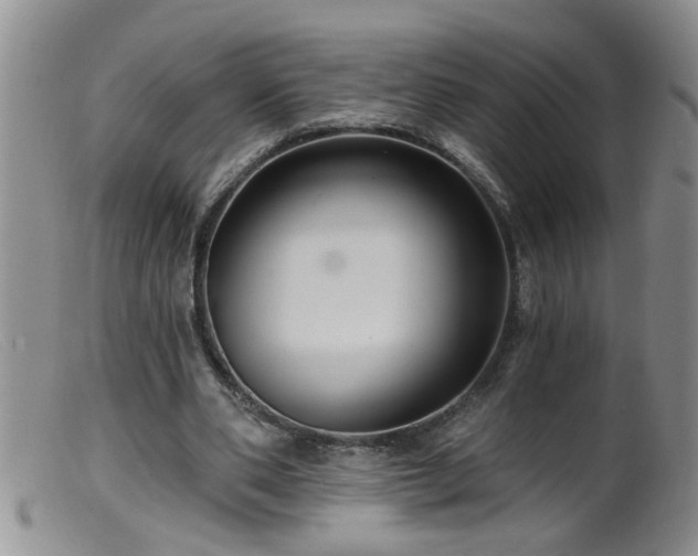 X0000099450486200805161026