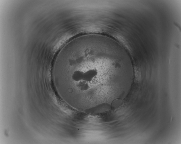 X0000099450487200805161026