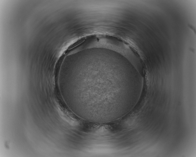 X0000099450488200805161026