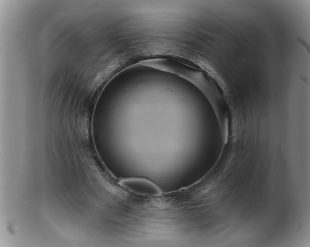 X0000099450489200805161026