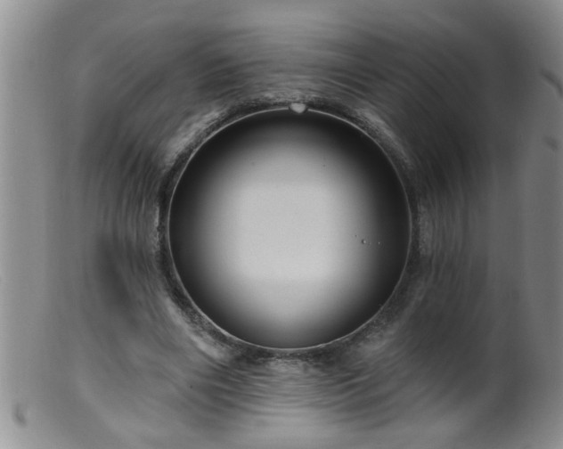 X0000099450490200805161026