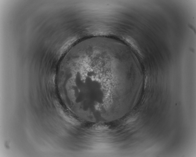 X0000099450491200805161026