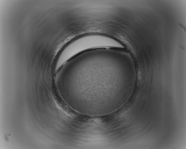 X0000099450492200805161026