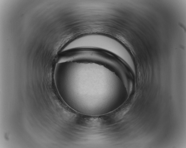 X0000099450493200805161026