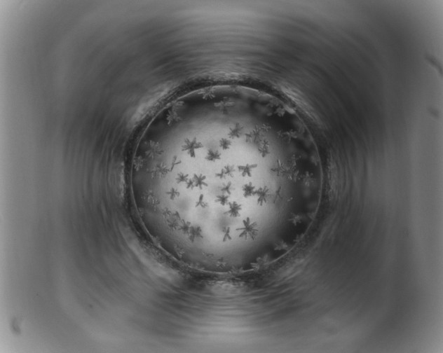 X0000099450494200805161026