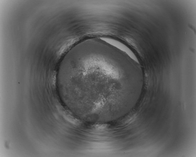 X0000099450495200805161026