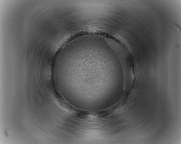 X0000099450496200805161026