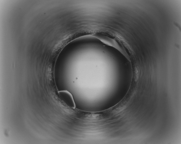 X0000099450497200805161025