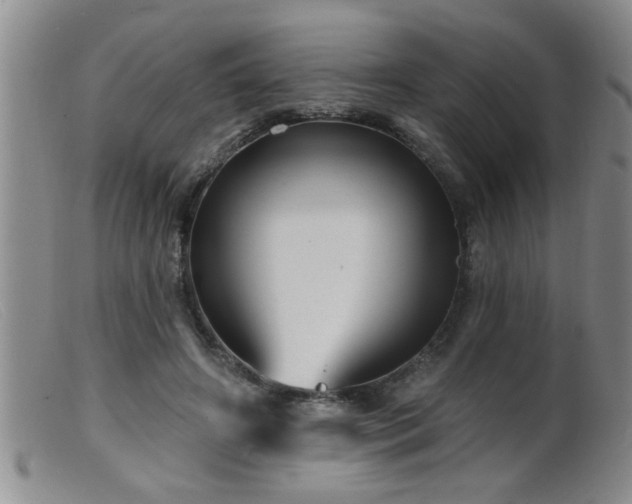 X0000099450498200805161025