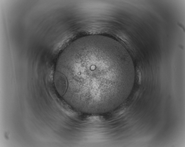 X0000099450499200805161025