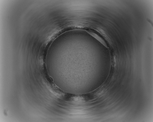 X0000099450500200805161025