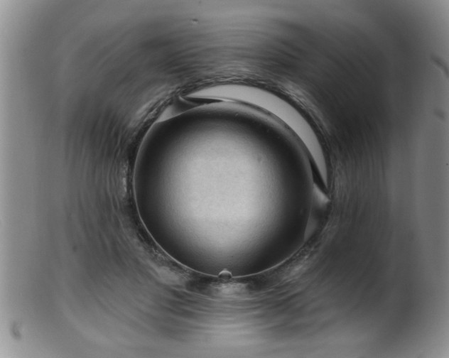 X0000099450501200805161025