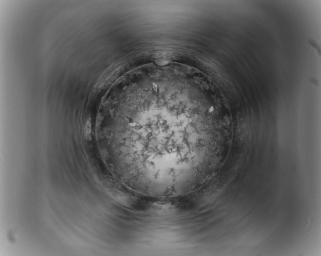X0000099450502200805161025