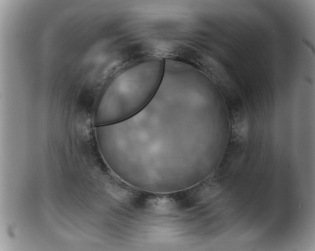 X0000099450503200805161025