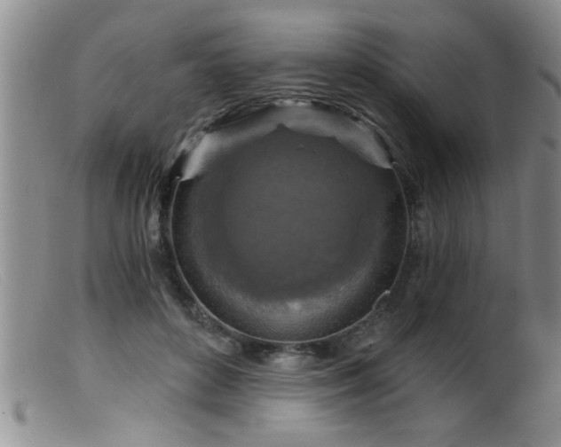 X0000099450504200805161025