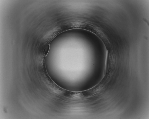 X0000099450505200805161025