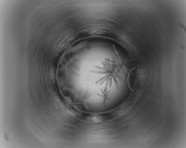 X0000099450506200805161025