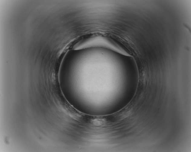 X0000099450508200805161025