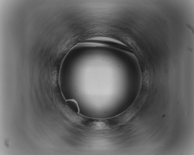 X0000099450509200805161025