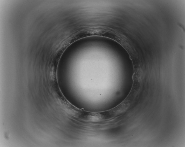 X0000099450510200805161025