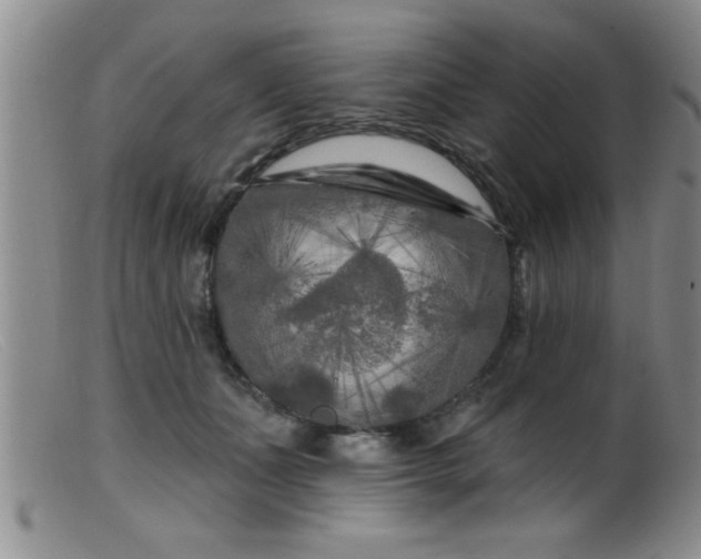 X0000099450511200805161025