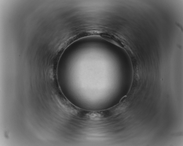 X0000099450512200805161025