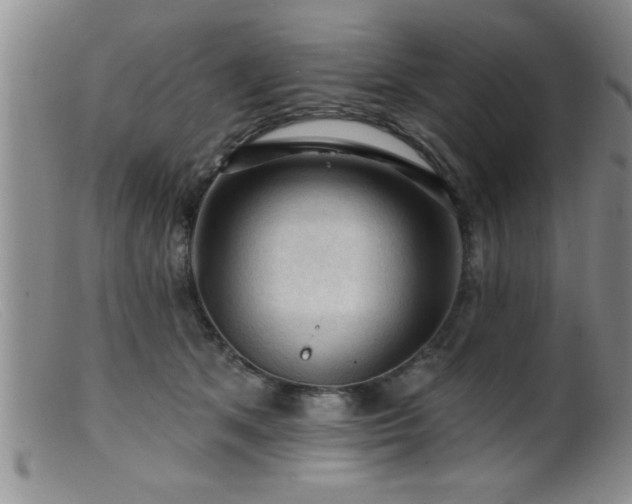 X0000099450513200805161025