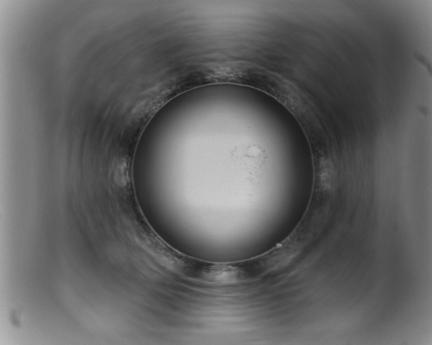 X0000099450514200805161025