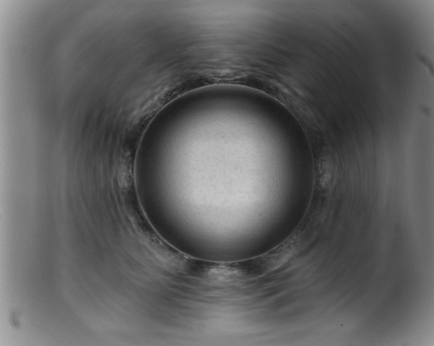 X0000099450515200805161025