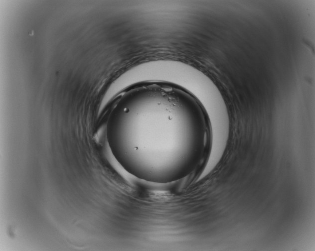 X0000099450516200805161025