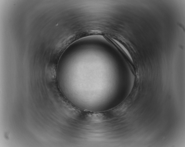 X0000099450517200805161025