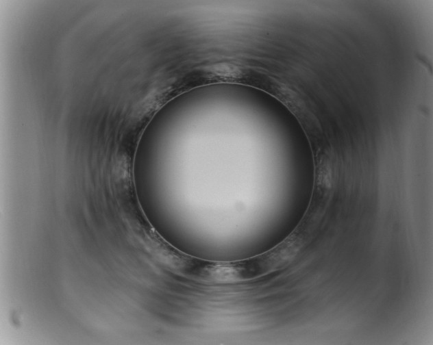 X0000099450518200805161025