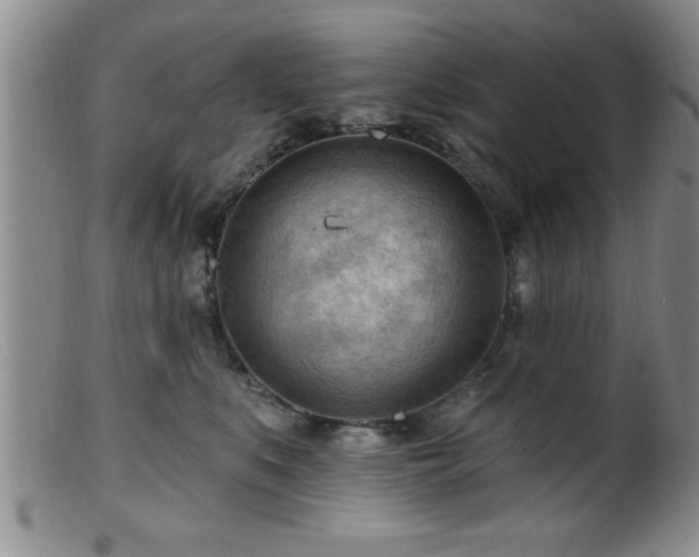 X0000099450519200805161025