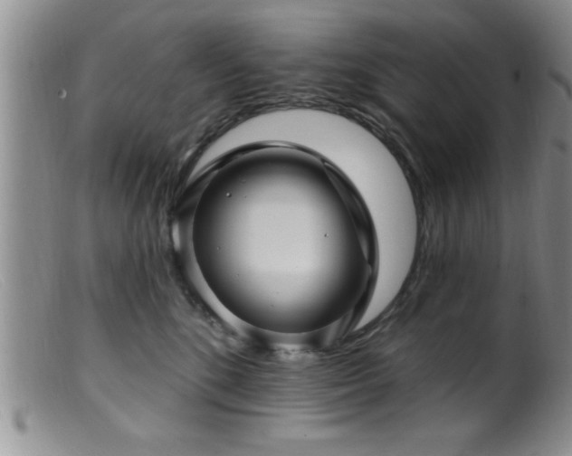 X0000099450520200805161025