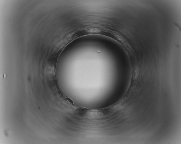 X0000099450521200805161025